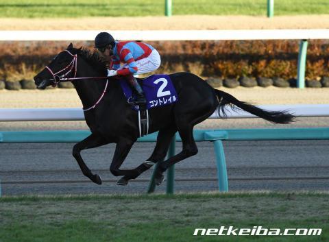 競走馬db 現役馬 馬岱の夢競馬